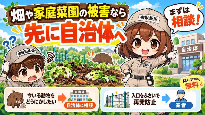 畑や家庭菜園の被害なら、先に自治体へ