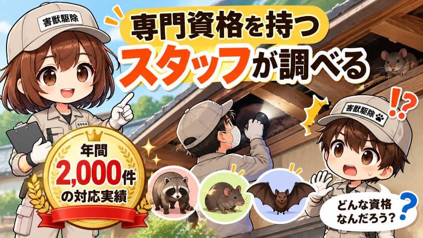 3. 専門資格を持つスタッフが調べる