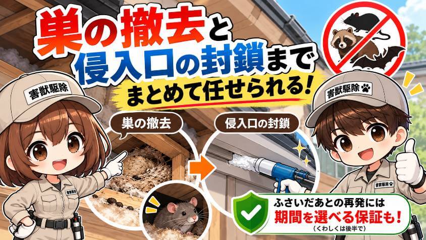 2. 巣の撤去と、侵入口の封鎖まで任せられる