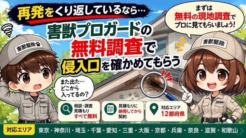 再発をくり返しているなら、害獣プロガードの無料調査で侵入口を確かめてもらう