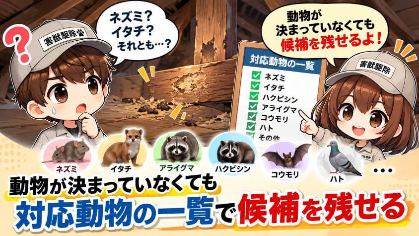 動物が決まっていなくても、対応動物の一覧で候補を残せる