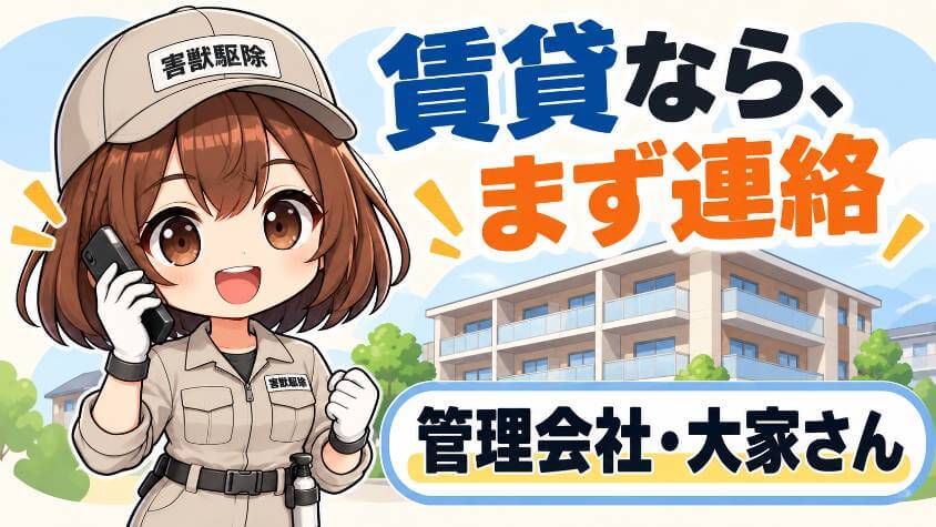 賃貸なら、業者より先に管理会社か大家さんへ1
