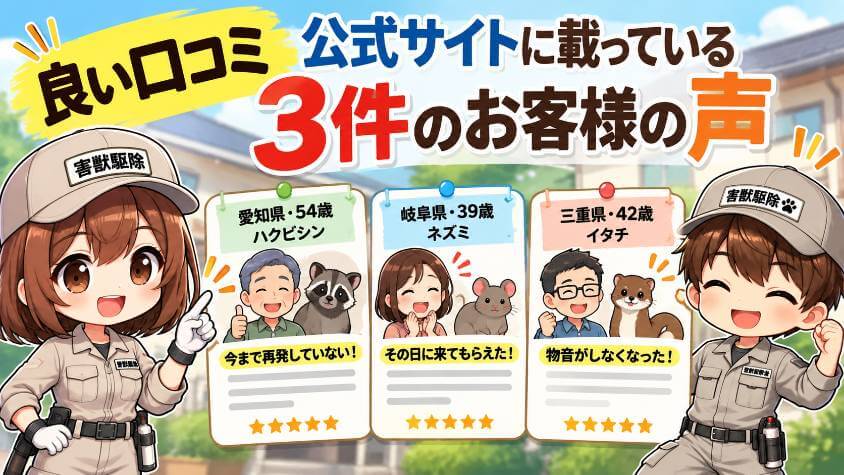 良い口コミ｜公式サイトに載っている3件のお客様の声