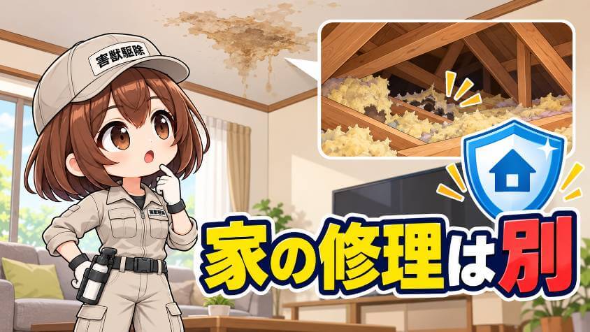 天井や断熱材の修理は「補償」の話として分けて聞く