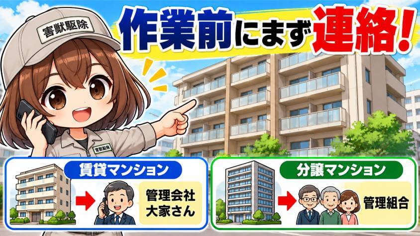 賃貸と分譲マンションは、清掃・消毒の前に連絡する先がある