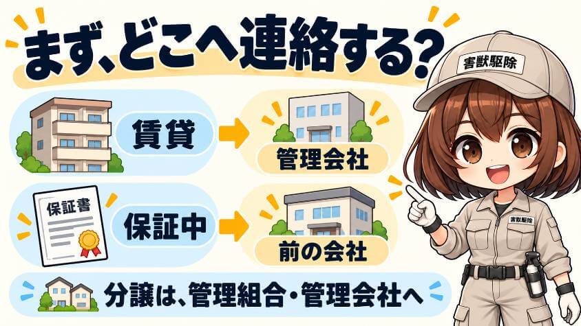 場面別の、先に連絡する先