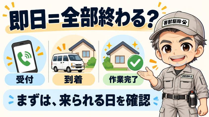 害獣駆除は即日で頼める?決めていいのは、来てもらう日まで
